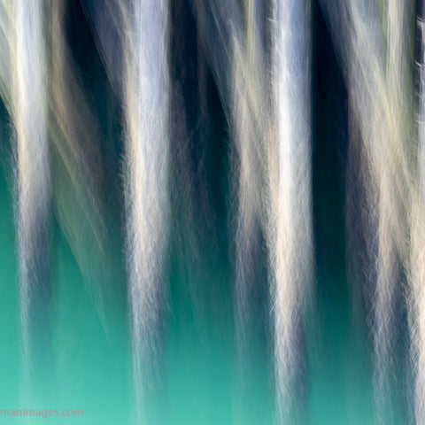 Man Made Abstracts