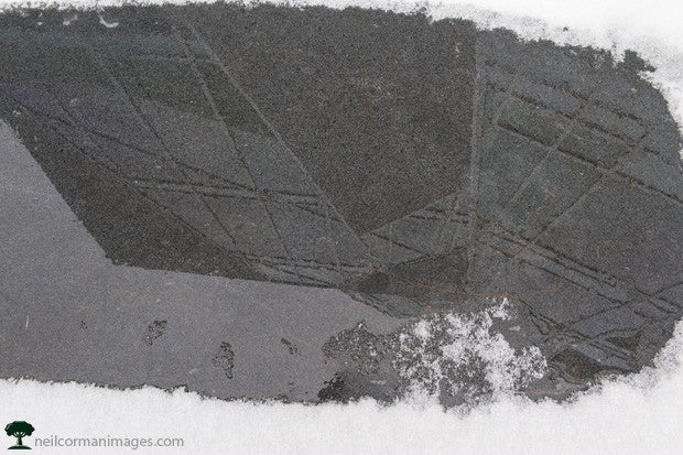 Building Reflection in the Snow