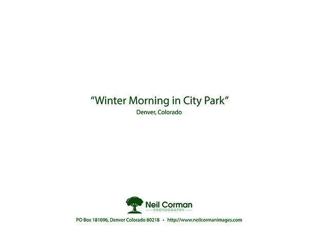 Back of Holiday Card