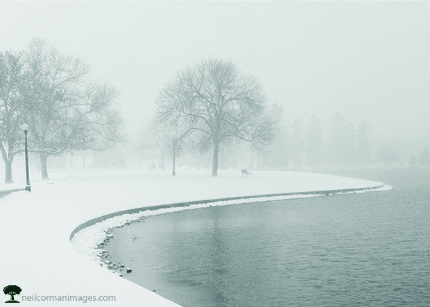 Winter Morning in City Park Holiday Card